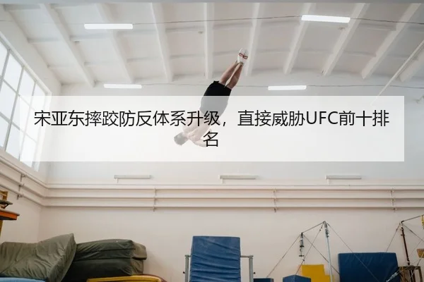 宋亚东摔跤防反体系升级，直接威胁UFC前十排名